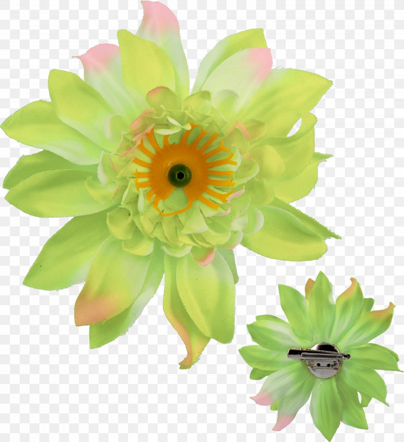 Transvaal Daisy Rintaneula Cut Flowers Floral Design Diameter, PNG, 2911x3191px, Transvaal Daisy, Annual Plant, Bicycle Frames, Bow Tie, Cut Flowers Download Free