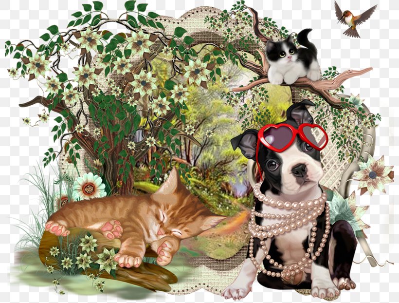 Cat Boston Terrier Graphic Art PTM Dog Breed, PNG, 800x622px, Cat, Bag, Boston Terrier, Breed, Carnivoran Download Free