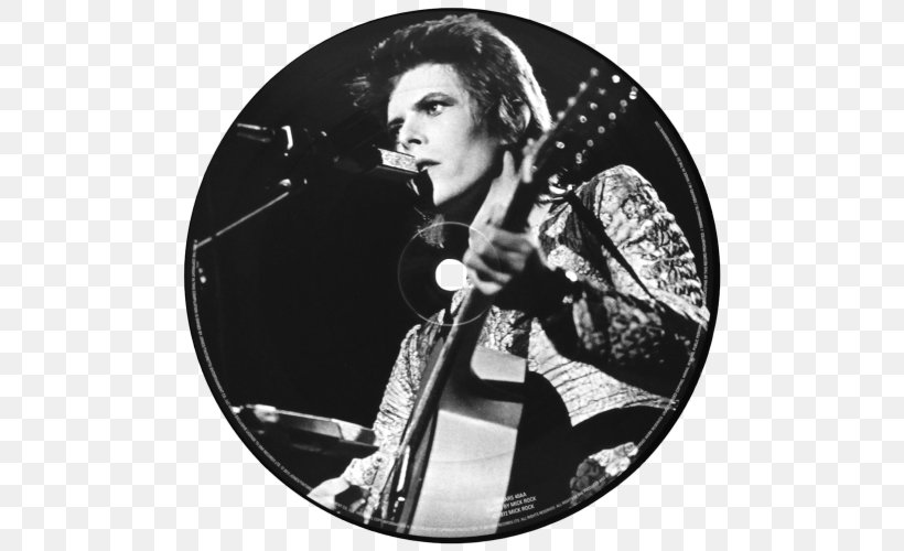 Life On Mars? Picture Disc Phonograph Record Take On Me Vinyl Bay 777, PNG, 500x500px, Life On Mars, Aha, Anniversary, Black And White, David Bowie Download Free