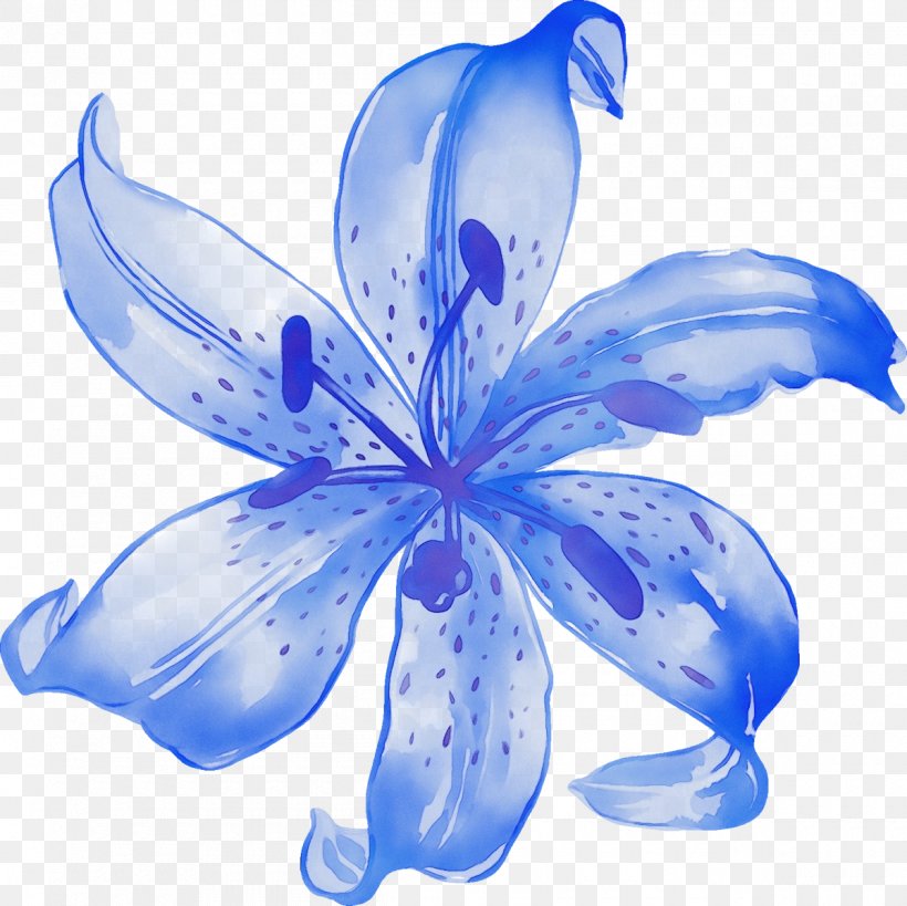 Petal Blue Flower Plant Lily, PNG, 1200x1199px, Watercolor, Blue, Flower, Flowering Plant, Herbaceous Plant Download Free