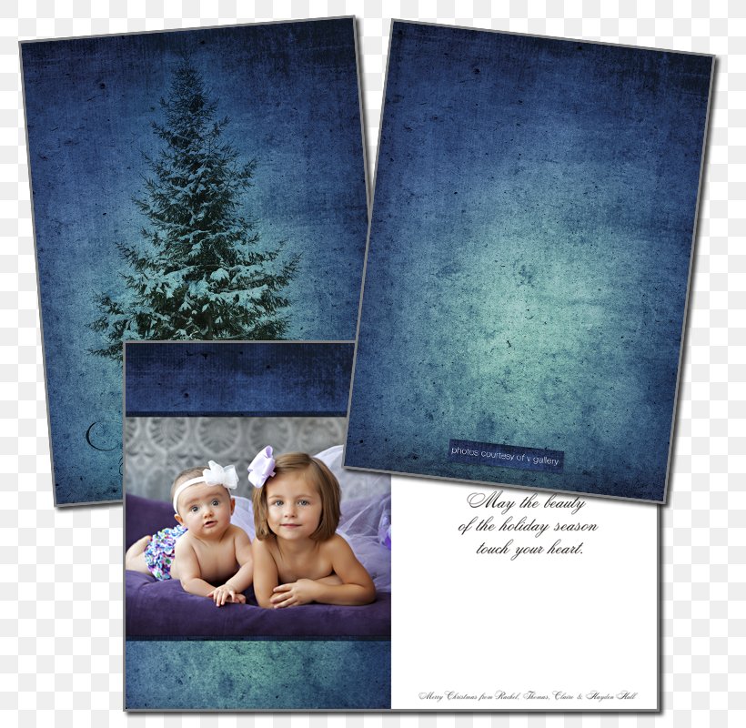 Picture Frames, PNG, 800x800px, Picture Frames, Blue, Picture Frame, Text Download Free