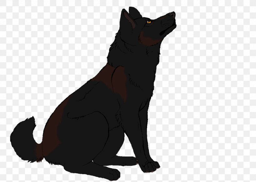 Schipperke Black Cat Puppy Dog Breed, PNG, 1057x755px, Schipperke, Black, Black Cat, Breed, Carnivoran Download Free