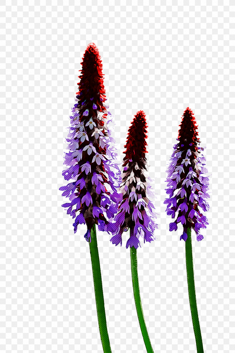 Spring Flower Spring Floral Flowers, PNG, 960x1440px, Spring Flower, Flower, Flowers, Herbaceous Plant, Lavender Download Free
