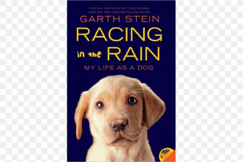 The Art Of Racing In The Rain Racing In The Rain: My Life As A Dog Enzo Races In The Rain! Enzo And The Christmas Tree Hunt! A Sudden Light, PNG, 900x600px, Hardcover, Audiobook, Author, Barnes Noble, Book Download Free