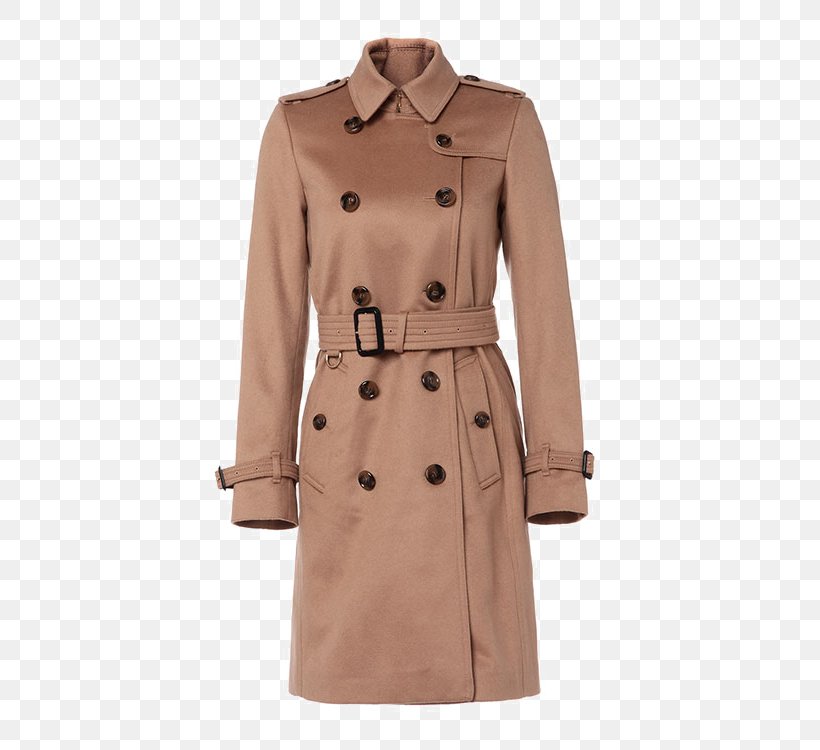 Trench Coat Chanel Burberry Dress, PNG, 750x750px, Trench Coat, Belt, Burberry, Chanel, Clothing Download Free