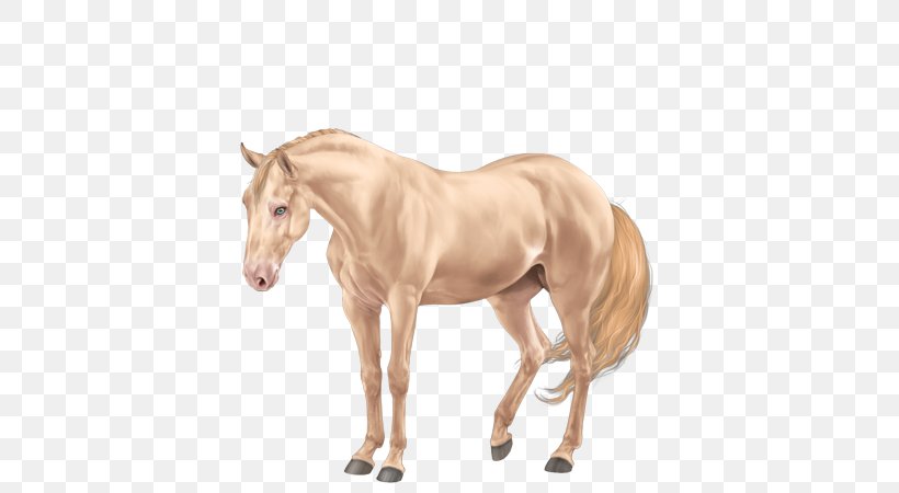 American Quarter Horse Mane Mustang Thoroughbred Stallion, PNG, 600x450px, American Quarter Horse, Animal Figure, Bridle, Colt, Cream Locus Download Free