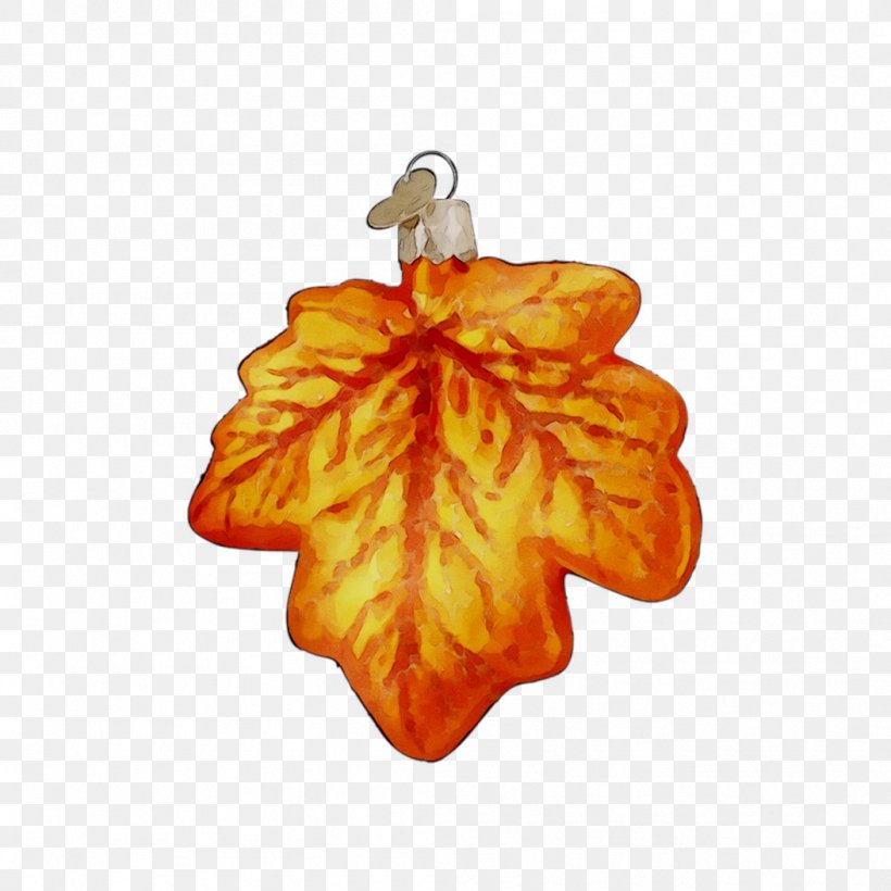 Christmas Ornament Fruit Orange S.A., PNG, 1053x1053px, Christmas Ornament, Christmas, Fashion Accessory, Fruit, Jewellery Download Free
