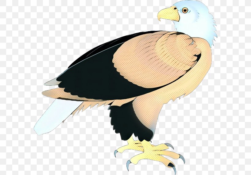 Bird Beak Vulture Cartoon Bird Of Prey, PNG, 600x574px, Pop Art, Bald Eagle, Beak, Bird, Bird Of Prey Download Free