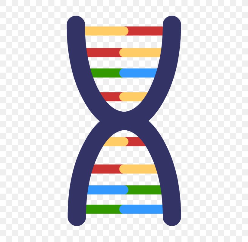 DNA Mutation Genetics Clip Art Genetic Testing, PNG, 800x800px, Dna, Base Pair, Dna Replication, Dna Sequencing, Genealogical Dna Test Download Free