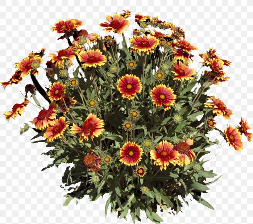 Floral Design Cut Flowers Flower Bouquet Interflora, PNG, 943x833px, Floral Design, Chrysanthemum, Chrysanths, Cut Flowers, Daisy Family Download Free