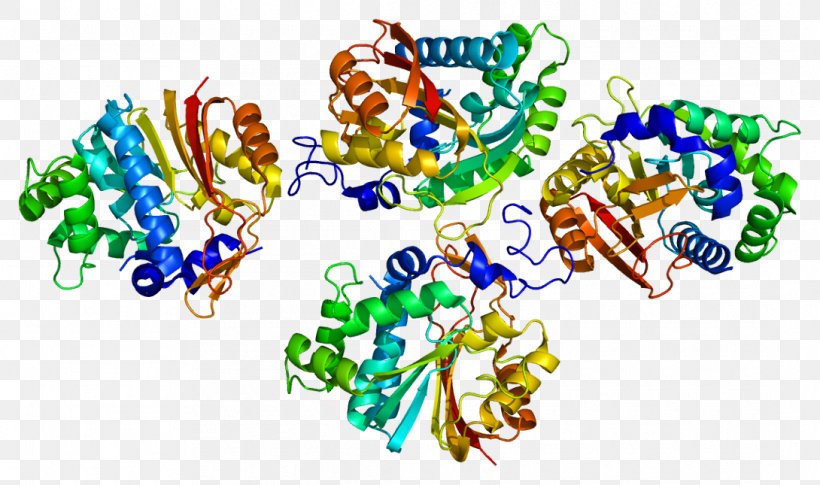 Nicotinamide N-methyltransferase S-Adenosyl Methionine Enzyme Protein, PNG, 1090x645px, Methyltransferase, Art, Catalysis, Chemical Compound, Enzyme Download Free