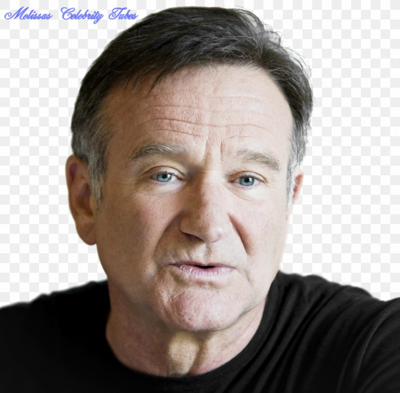 Robin Williams Film Comedian How To Be Single, PNG, 1600x1576px, Robin Williams, Cheek, Chin, Comedian, Elder Download Free