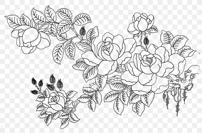 Rosa Multiflora Drawing Flower Sketch, PNG, 1000x660px, Rosa Multiflora, Area, Art, Artwork, Black Download Free