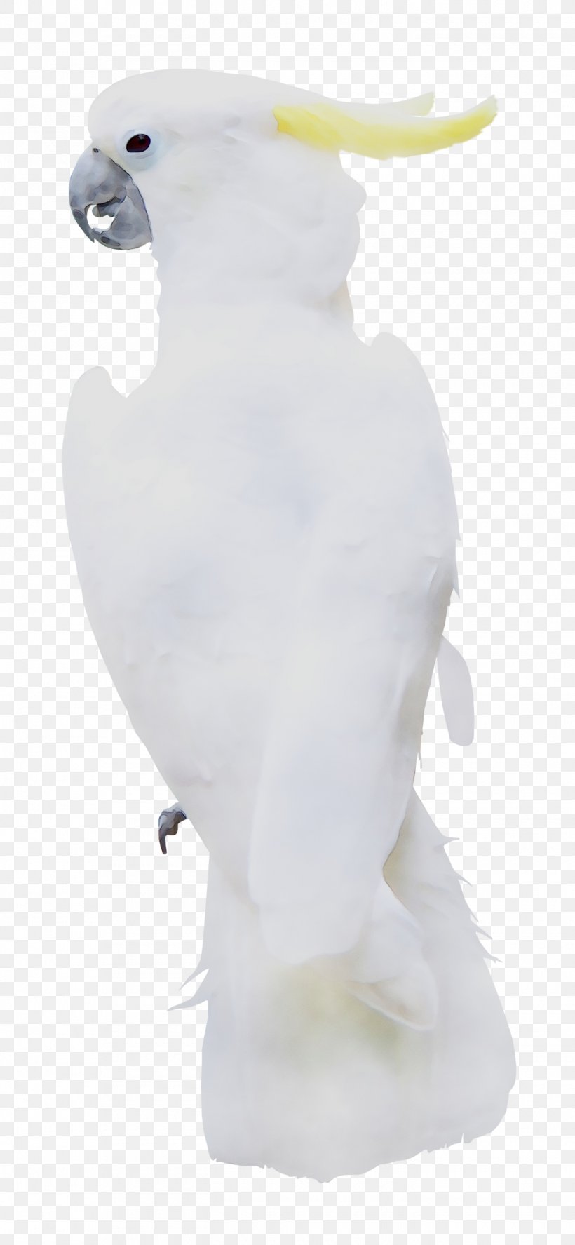 Beak Neck Figurine Feather, PNG, 1420x3074px, Beak, Cockatoo, Feather, Figurine, Fur Download Free