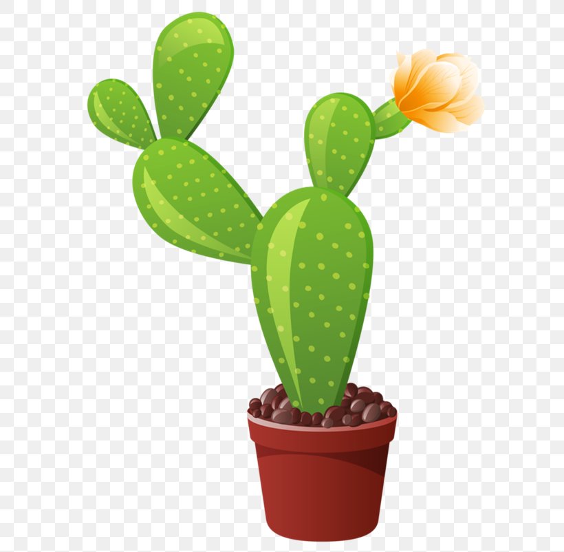 Cactaceae Garden Clip Art, PNG, 594x802px, Cactaceae, Barbary Fig, Cactus, Cactus Garden, Caryophyllales Download Free