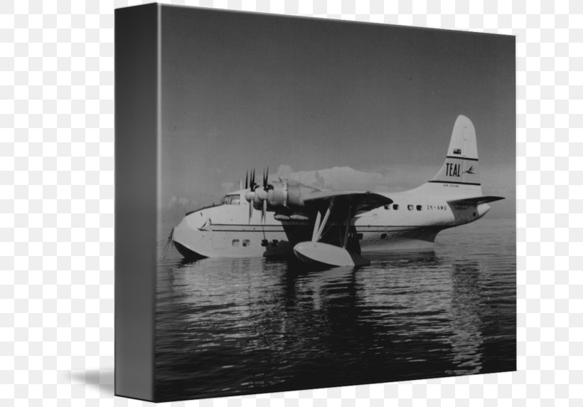 Seaplane Aviation White Propeller, PNG, 650x572px, Seaplane, Aircraft, Airplane, Aviation, Black And White Download Free
