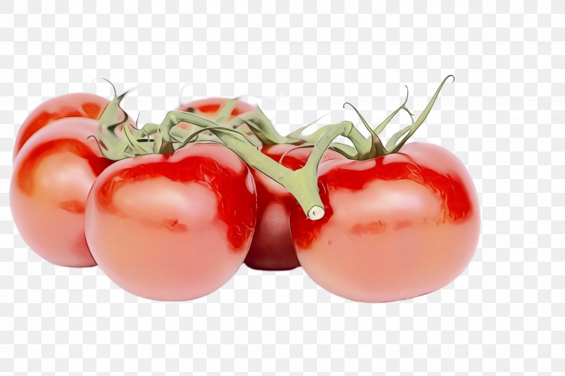 Tomato, PNG, 2448x1632px, Watercolor, Cherry Tomatoes, Food, Fruit, Natural Foods Download Free
