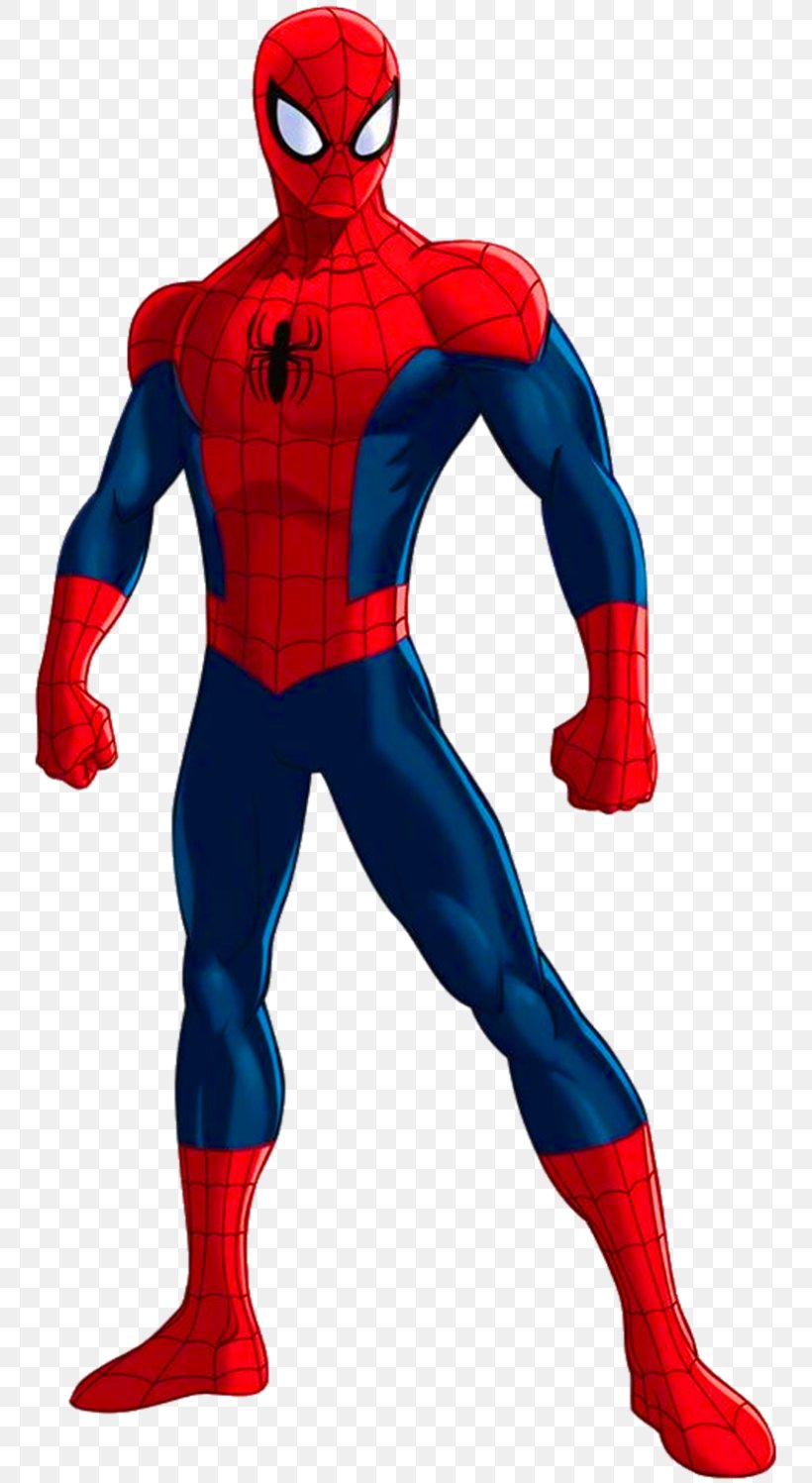 Ultimate Spider-Man Hulk Standee Poster, PNG, 760x1497px, Spiderman, Action Figure, Amazing Spiderman, Cardboard, Comic Book Download Free