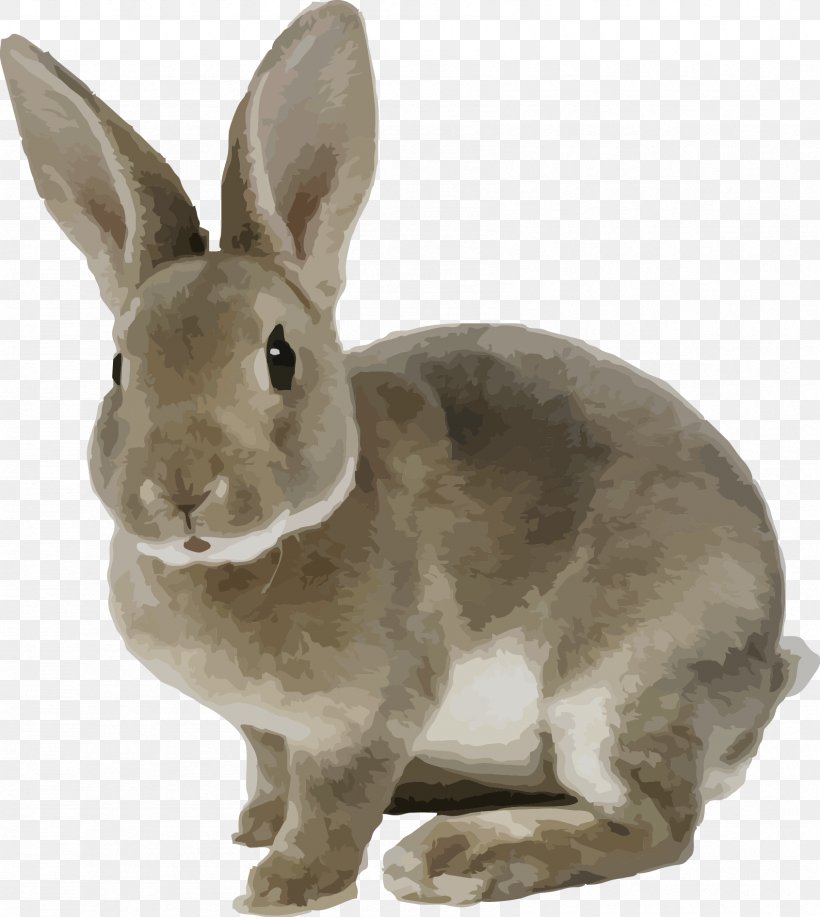 White Rabbit Domestic Rabbit Brown Pet Burrow, PNG, 1691x1893px, White Rabbit, Animal, Brown, Burrow, Domestic Rabbit Download Free