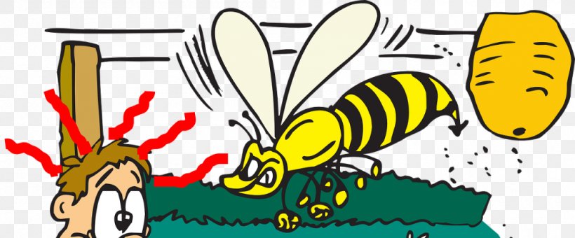 Bumblebee Honey Bee Insect European Hornet Clip Art, PNG, 1050x436px, Bumblebee, Apidae, Art, Artwork, Bee Download Free