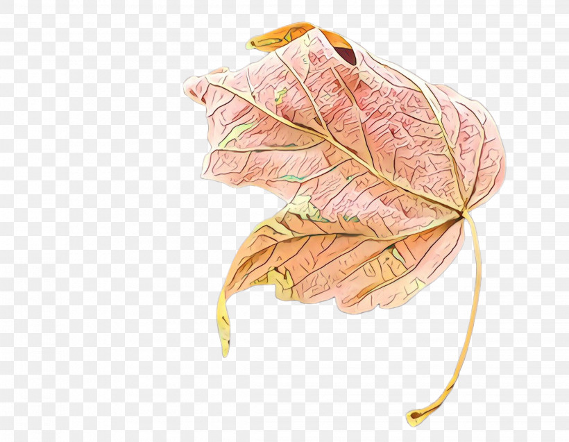 Maple Leaf, PNG, 2268x1764px, Leaf, Black Maple, Flower, Maple Leaf, Plane Download Free