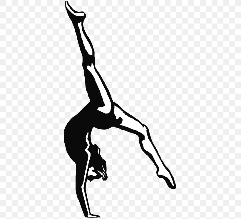 Energym Gymnastics Miss Maria's Dance Cheer Gymnastics Sports Association, PNG, 386x745px, Watercolor, Cartoon, Flower, Frame, Heart Download Free