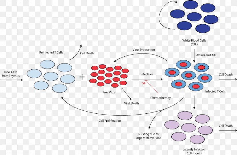 Management Of HIV/AIDS HIV Infection Immune System Pharmaceutical Drug, PNG, 878x574px, Management Of Hivaids, Area, Brand, Diagram, Drug Interaction Download Free