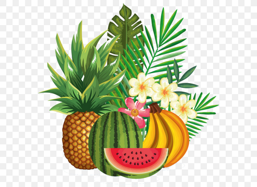 Pineapple, PNG, 600x596px, Natural Foods, Ananas, Food, Food Group, Fruit Download Free