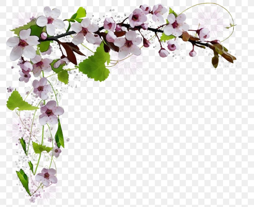 1 May Workers Day, PNG, 800x667px, 2019, Watercolor, Blossom, Branch, Cherry Blossom Download Free