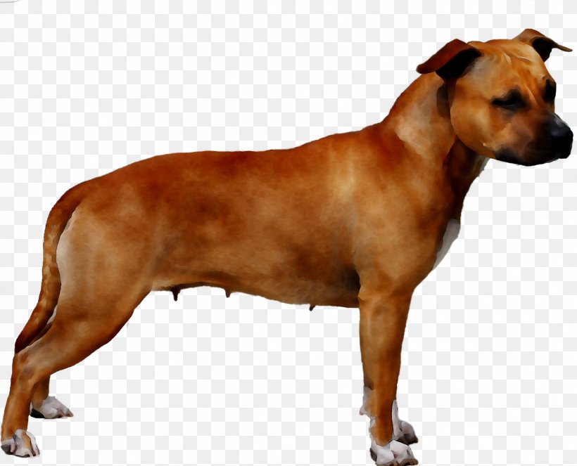 Dog Breed Rhodesian Ridgeback Horse Painting, PNG, 2478x2004px, Dog Breed, American Pit Bull Terrier, American Staffordshire Terrier, Ancient Dog Breeds, Black Mouth Cur Download Free
