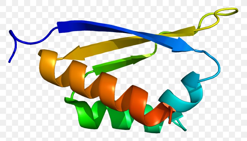 PCBP1 PCBP2 Gene Cell Protein, PNG, 815x471px, Watercolor, Cartoon, Flower, Frame, Heart Download Free