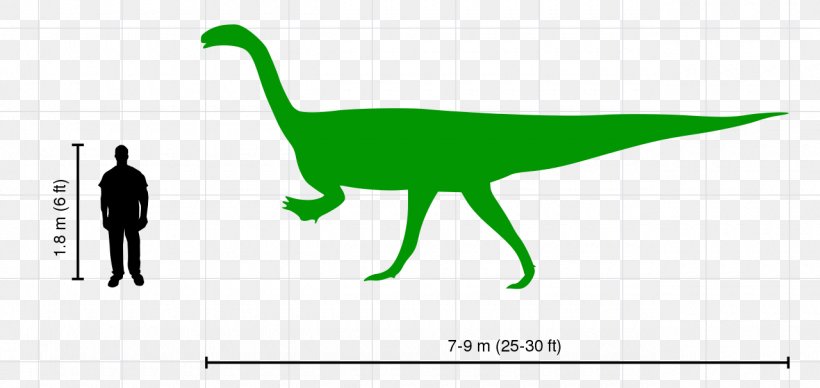 Plateosaurus Velociraptor Tyrannosaurus Ceratosaurus Dinosaur, PNG, 1280x606px, Plateosaurus, Animal, Area, Bipedalism, Ceratosaurus Download Free