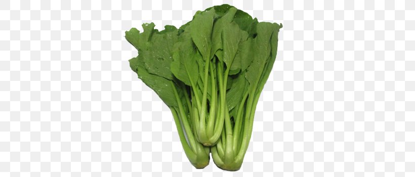 Romaine Lettuce Choy Sum Chinese Broccoli Spring Greens Komatsuna, PNG, 350x350px, Romaine Lettuce, Bok Choy, Cabbage, Capitata Group, Chard Download Free