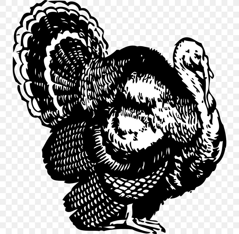 Broad Breasted White Turkey Black Turkey Black And White Turkey Meat Clip Art, PNG, 800x800px, Watercolor, Cartoon, Flower, Frame, Heart Download Free