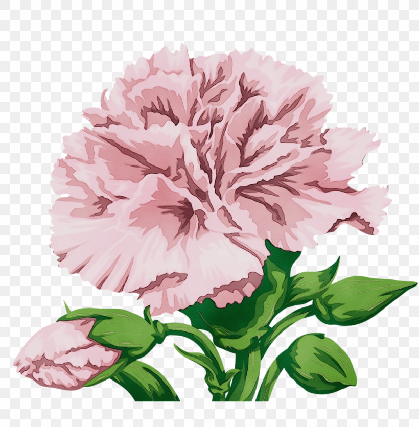 Floral Design, PNG, 1004x1024px, Watercolor, Annual Plant, Cabbage Rose, Carnation, Cut Flowers Download Free