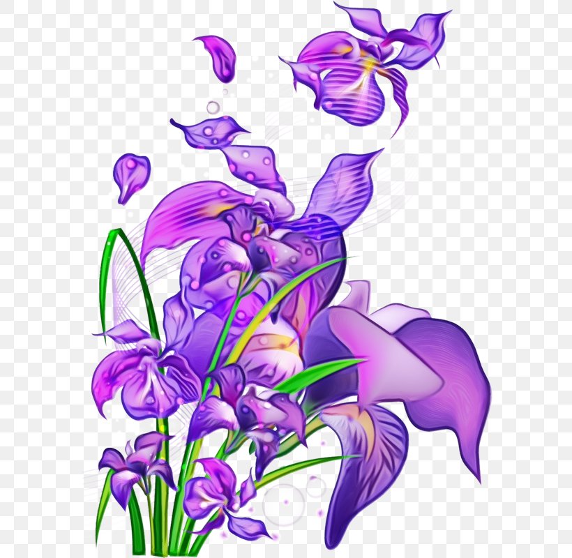 Flower Violet Purple Plant Flowering Plant, PNG, 592x800px, Watercolor, Bellflower Family, Flower, Flowering Plant, Iris Download Free