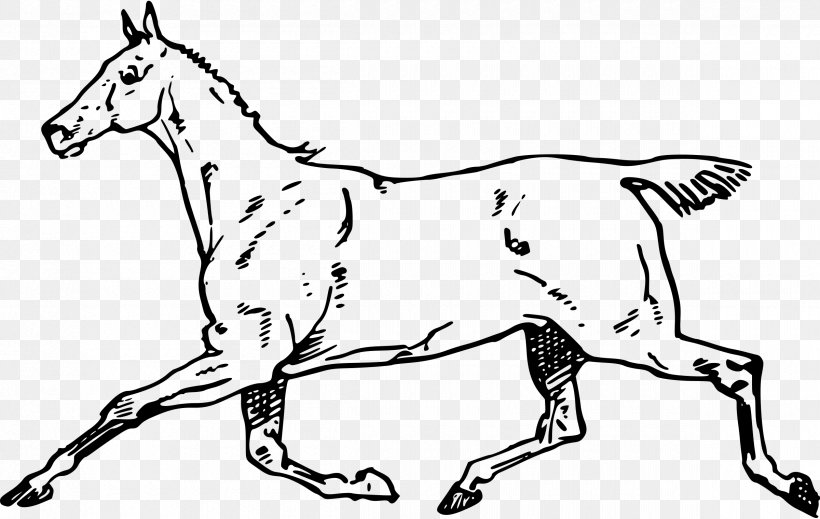 Horse Dog Clip Art, PNG, 2400x1520px, Horse, Animal, Animal Figure, Art, Black And White Download Free