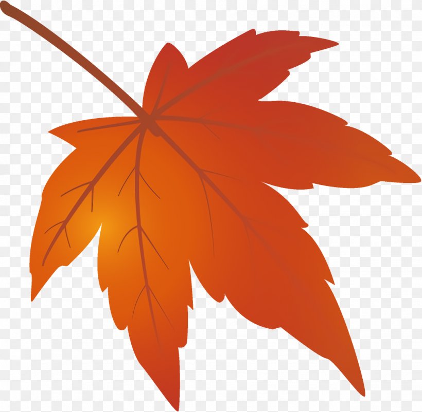 Maple Leaf Autumn Leaf Yellow Leaf, PNG, 1026x1004px, Maple Leaf, Autumn Leaf, Black Maple, Leaf, Orange Download Free