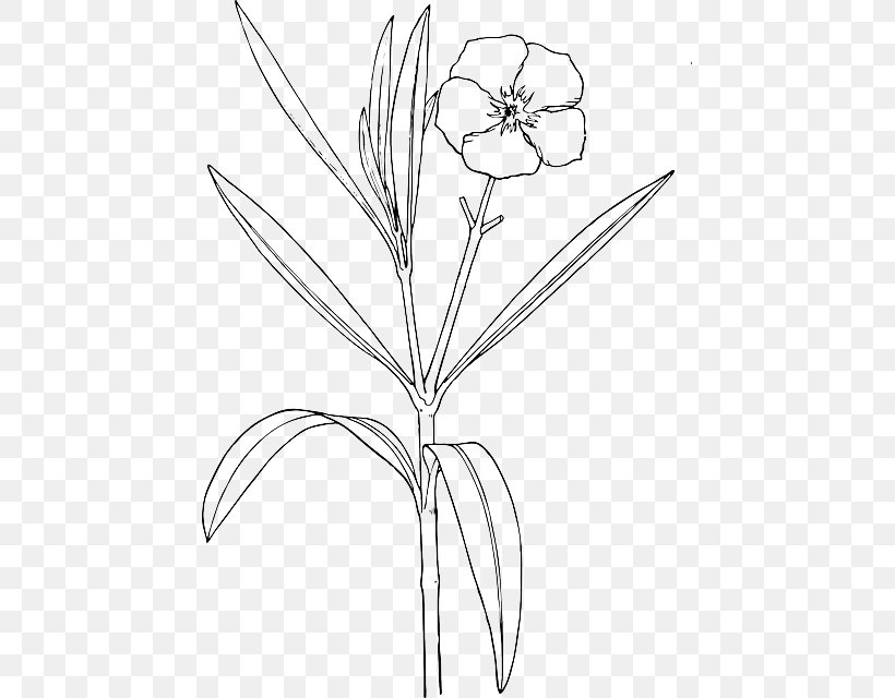 Oleander Drawing Clip Art Flower Shrub, PNG, 449x640px, Oleander, Area, Black And White, Branch, Bud Download Free