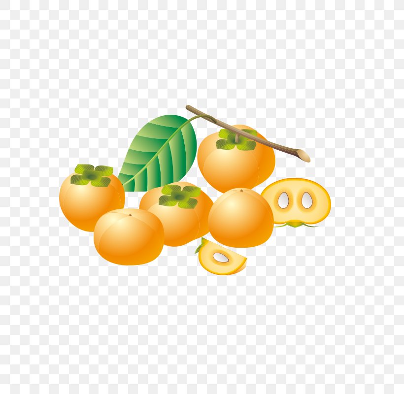 Tomato Vegetable Euclidean Vector Fruit, PNG, 800x800px, Tomato, Auglis, Citrus, Clementine, Drawing Download Free