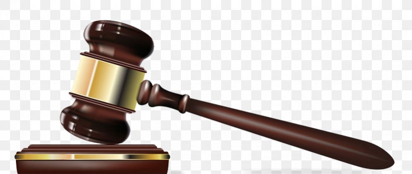 Gavel Legal Aid Judge Lawyer Criminal Law, PNG, 822x348px, Gavel, Court, Crime, Criminal Defense Lawyer, Criminal Law Download Free
