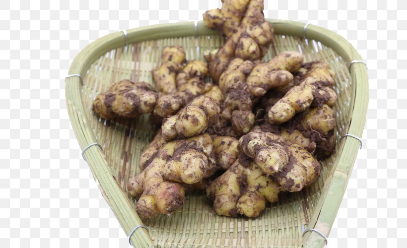 Ginger Ale Zingiber Cassumunar, PNG, 750x500px, Ginger Ale, Chinese Herbology, Food, Fried Food, Ginger Download Free