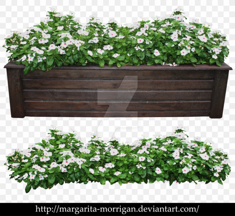 Modern Shrub Rose Flowerpot Plant Tree, PNG, 900x828px, Modern Shrub Rose, Crock, Evergreen, Flower, Flowerpot Download Free