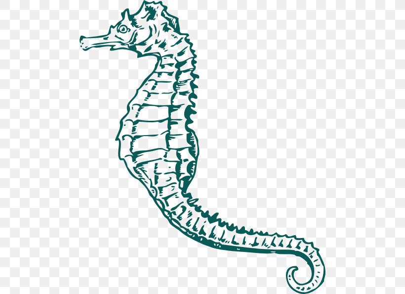 Pacific Seahorse Drawing White's Seahorse Clip Art, PNG, 498x594px, Pacific Seahorse, Area, Artwork, Black And White, Coloring Book Download Free