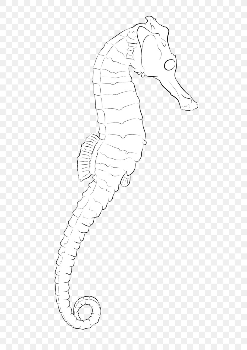 Seahorse Line Art Pipefishes And Allies Drawing /m/02csf, PNG, 689x1160px, Seahorse, Arm, Artwork, Black And White, Drawing Download Free