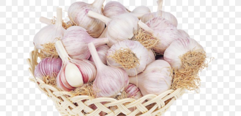 Garlic Shallot Alcohol Tincture Ancient Egypt, PNG, 640x396px, Garlic, Alcohol, Aloe, Ancestor, Ancient Egypt Download Free