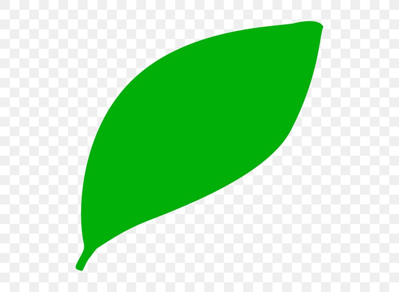 Illustration Leaf Graphics Plants Product Design, PNG, 600x600px, Leaf, Energy, Flower, Grass, Green Download Free
