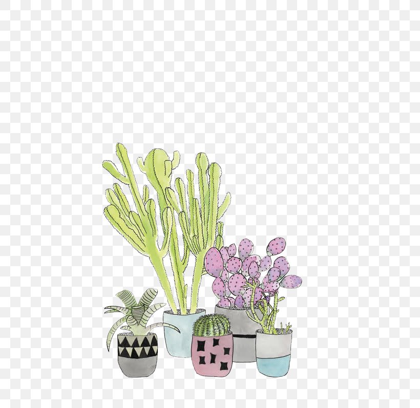 Cactus Succulent Plant Plants Image, PNG, 610x797px, Cactus, Art, Cartoon, Color, Cut Flowers Download Free