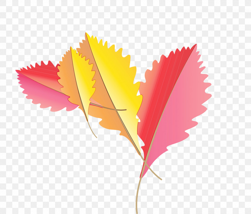 Leaf Computer Meter M Plants, PNG, 3000x2561px, Autumn Leaf, Biology, Cartoon Leaf, Computer, Fall Leaf Download Free