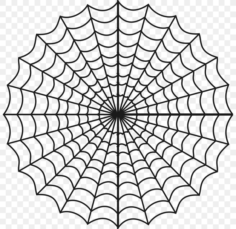 Spider Web Coloring Book Child Clip Art, PNG, 800x796px, Spider, Area, Australian Funnelweb Spider, Black And White, Child Download Free